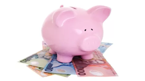 Novopay rolls over to Government-owned company