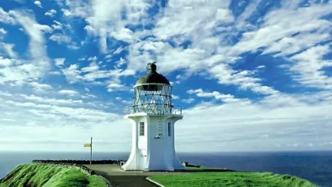 House sitting new zealand northland 00 l