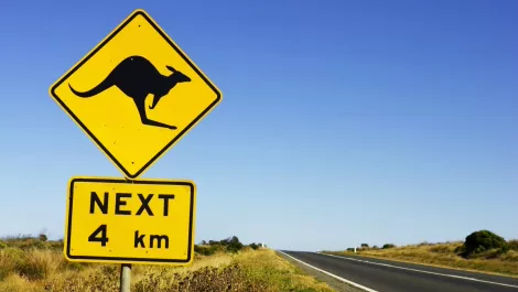 TechDay's Aussie milestones: Making waves across the ditch