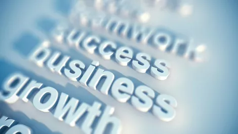 Promapp snaps up growth grant worth up to $5 million