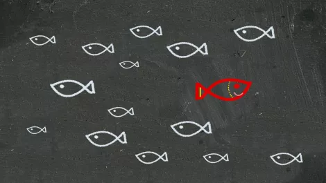 Differentiation and neutralisation - The constant struggle