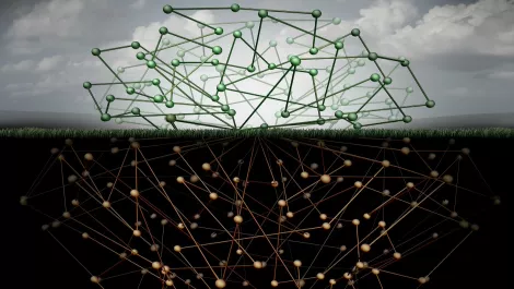 Thinkstockphotos 509347442