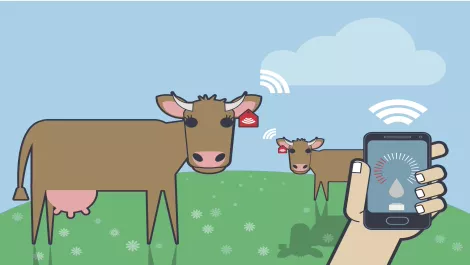 The future of Kiwi farming founded on tech & sustainability