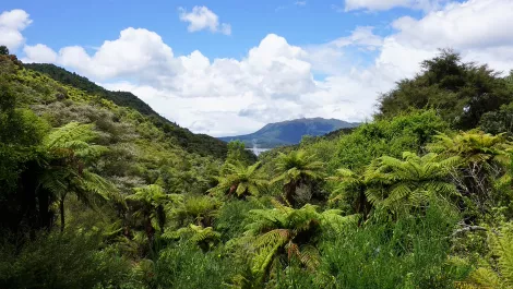 Thinkstockphotos 1086713082