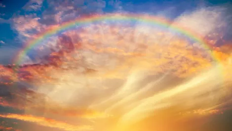 Vodafone NZ into the finalists for Rainbow Excellence Awards