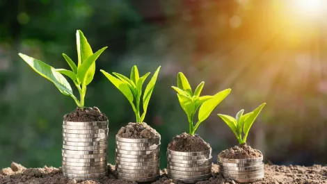 Gettyimages 1056669568