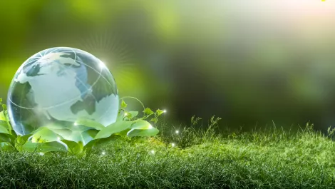 Gettyimages 1194898132