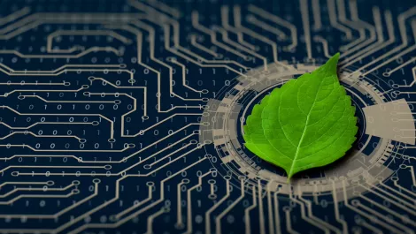 Gettyimages 1315096305