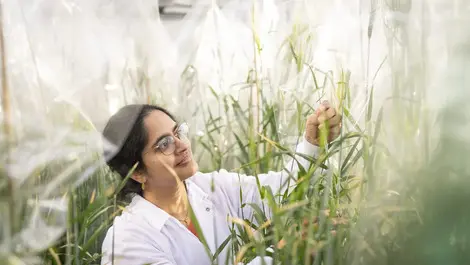 2026 01 12 saif agf nr header scaled